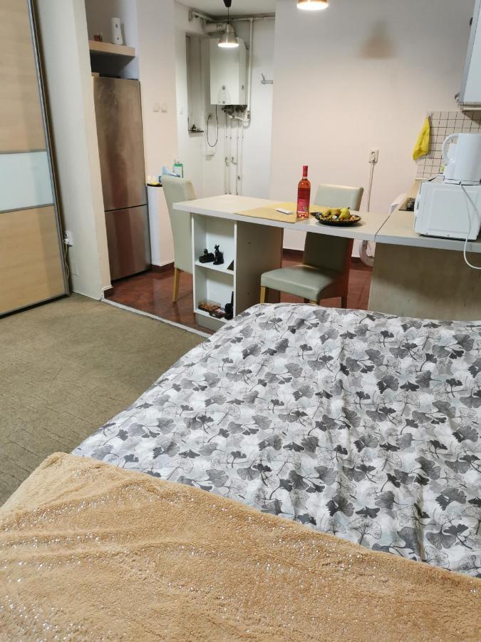 Ultracentral Cluj Napoca,Balcony,Fast Wifi,Parking Exterior foto